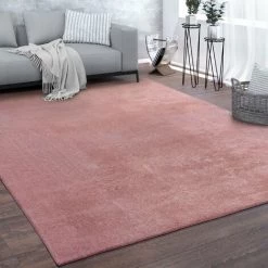 Paco Home Tapis De Salon Poils Ras Lavable Monochrome Style Moderne Doux Rose 80x150 Cm