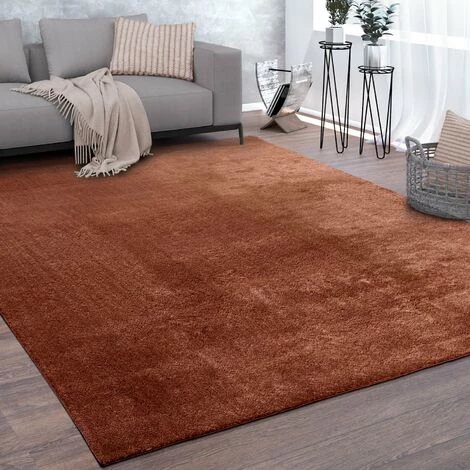 Paco Home Tapis De Salon Poils Ras Lavable Monochrome Style Moderne Cuivre 80x150 Cm 1 Paco Home Tapis De Salon Poils Ras Lavable Monochrome Style Moderne Cuivre 80x150 Cm