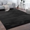 Paco Home Tapis De Salon Poils Ras Lavable Monochrome Style Moderne Noir 60x100 Cm