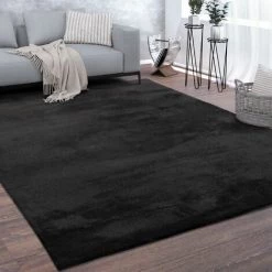 Paco Home Tapis De Salon Poils Ras Lavable Monochrome Style Moderne Noir 60x100 Cm