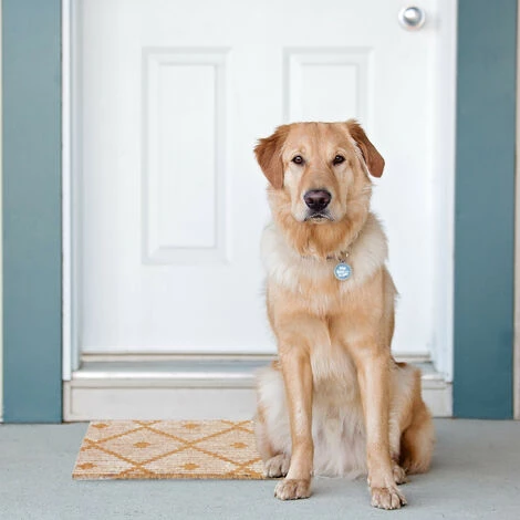 Relaxdays Paillasson Coco, Motif Géométrique, 60x40 Cm, Antidérapant, Résistant, Intérieur, Extérieur, Nature/blanc 4 Relaxdays Paillasson Coco, Motif Géométrique, 60x40 Cm, Antidérapant, Résistant, Intérieur, Extérieur, Nature/blanc – Image 4