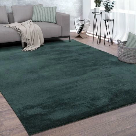 Paco Home Tapis De Salon Poils Ras Lavable Monochrome Style Moderne Vert 80 Cm Rond 1 Paco Home Tapis De Salon Poils Ras Lavable Monochrome Style Moderne Vert 80 Cm Rond