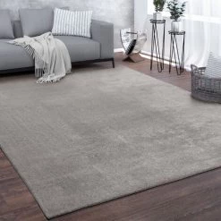 Paco Home Tapis De Salon Poils Ras Lavable Monochrome Style Moderne Gris 200x280 Cm