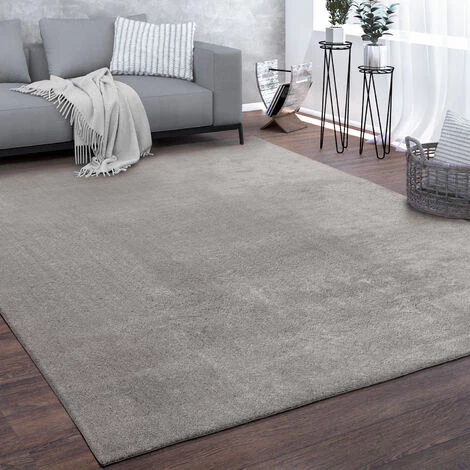 Paco Home Tapis De Salon Poils Ras Lavable Monochrome Style Moderne Gris 200x280 Cm 1 Paco Home Tapis De Salon Poils Ras Lavable Monochrome Style Moderne Gris 200x280 Cm