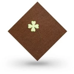 LangRay Tapis De Sol Pour Chambre à Coucher Tapis De Protection Lavable Coussin D'épissure Sans Colle Tapis De Cuisine Anti-huile - Trèfle à Quatre Feuilles [café] 28cm*28cm