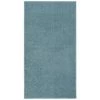 TRUE DEAL Tapis à Poils Courts 80x150 Cm Bleu