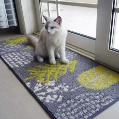 GGNRALNY Paillasson Anti-dérapant 45 X 70 Cm, Lavable En Machine Paillasson D'intérieur Tapis D'entrée Petit Tapis Pour Porte D'entrée, Intérieur, Entrée, Couloir