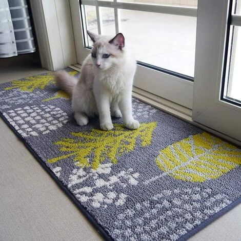 GGNRALNY Paillasson Anti-dérapant 45 X 70 Cm, Lavable En Machine Paillasson D'intérieur Tapis D'entrée Petit Tapis Pour Porte D'entrée, Intérieur, Entrée, Couloir 1 GGNRALNY Paillasson Anti-dérapant 45 X 70 Cm, Lavable En Machine Paillasson D'intérieur Tapis D'entrée Petit Tapis Pour Porte D'entrée, Intérieur, Entrée, Couloir