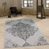 Paco Home Tapis Intérieur Extérieur Vintage Design Décorations Paisley Motif Élégant Gris 60x100 Cm