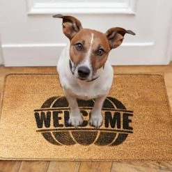 HELLO KITTY BAIN Couverture De Paillasson D'Halloween Tapis De Bienvenue Paillasson Décoratif D'Halloween Tapis Anti-dérapant Pour L'intérieur Et L'extérieur -Tapis et paillasson Soldes 67920289 4