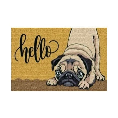 BTB BENOIT TAPIS BROSSE Tapis Coco Hello Chien 40x60 Cm 1 BTB BENOIT TAPIS BROSSE Tapis Coco Hello Chien 40x60 Cm