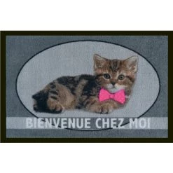 Tapis Anti-poussière En Polyamide Iris Le Chat - Dim : 40 X 60 Cm- PEGANE -
