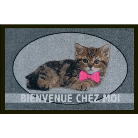 Tapis Anti-poussière En Polyamide Iris Le Chat - Dim : 40 X 60 Cm- PEGANE - 1 Tapis Anti-poussière En Polyamide Iris Le Chat - Dim : 40 X 60 Cm- PEGANE -